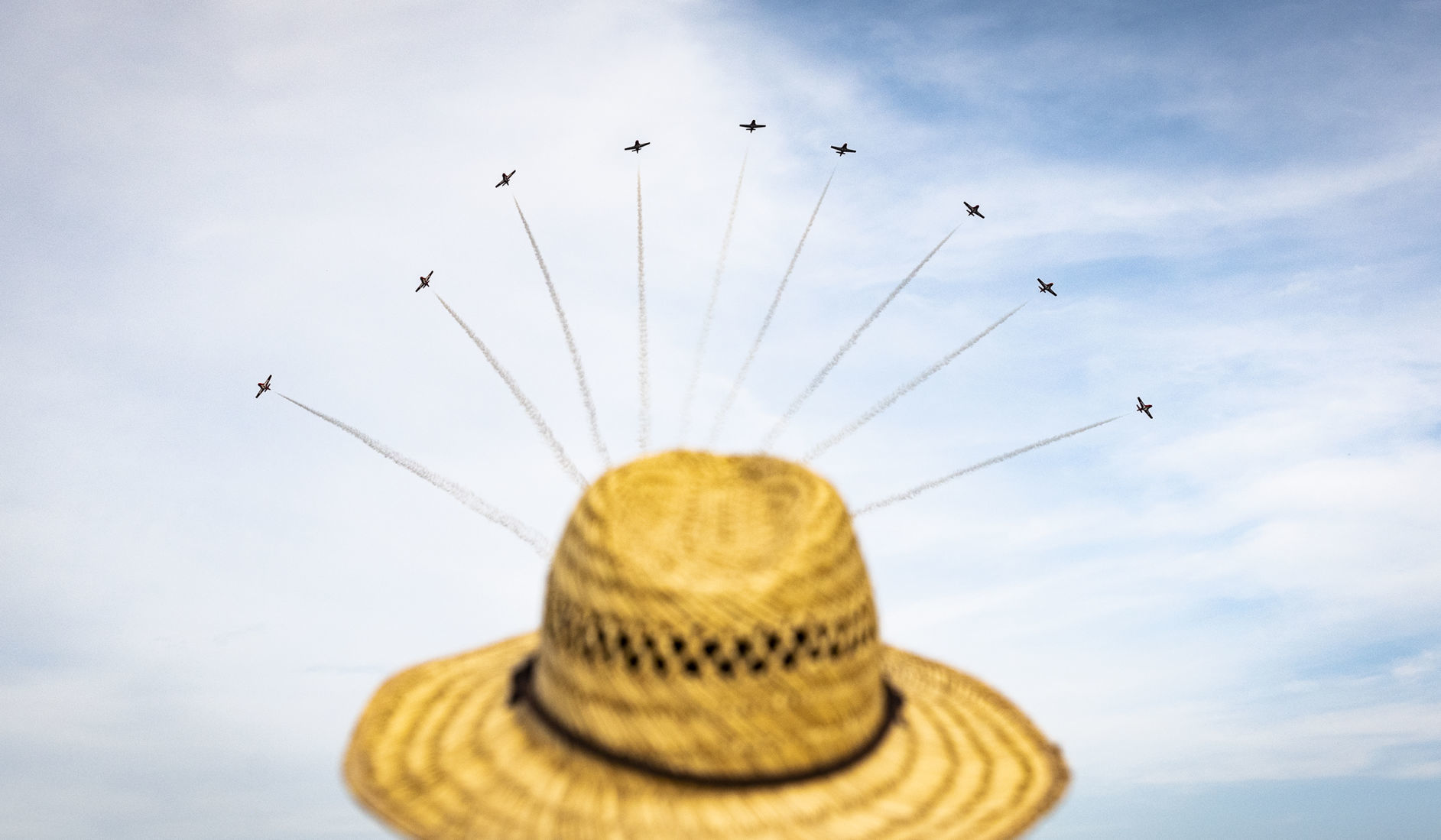 Snowbirds